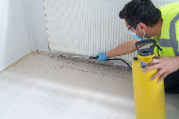 Best Bed Bug Extermination  in Athens, GA
